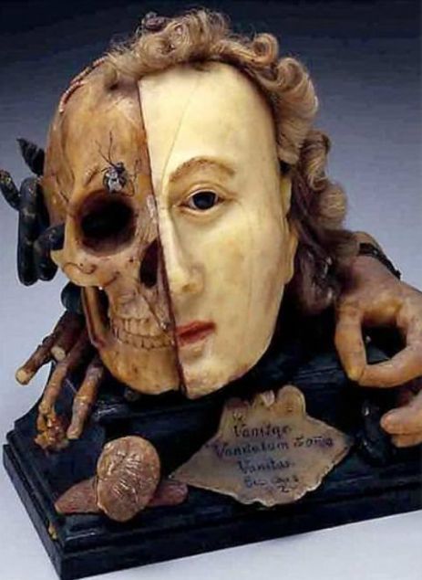 Balmumu kafatas�;  18. y�zy�l T�p e�itiminde kullan�lan bu kafatas�n�n �zelli�i insan hayat�n�n ne kadar k�sa oldu�unu vurgulamak. Bu kafatas�n�n bir yan� �ld�kten sonra meydana gelecek ��r�meyi, di�er yan� ise hala hayattayken ne durumda oldu�unu g�steriyor. Bu par�a temelde ise �l�m ve hayat aras�ndaki ince �izgiyi simgeliyor. 