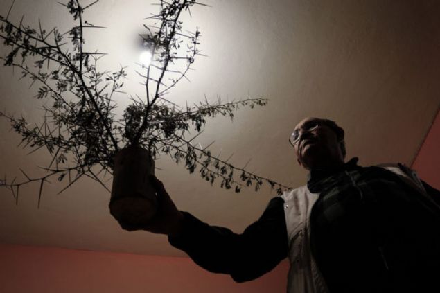 �a�lar, kendisini en �ok motive eden �eyin a�a� kesmeden k�rdan �retmek oldu�unu vurgulayarak, 'G�nde 15 bin adet �retti�imiz k�rdanlar�n tanesini 8 kuru�tan ba�ta �stanbul ve �zmir'deki restoranlar olmak �zere T�rkiye'nin farkl� illerine sat�yorum.      