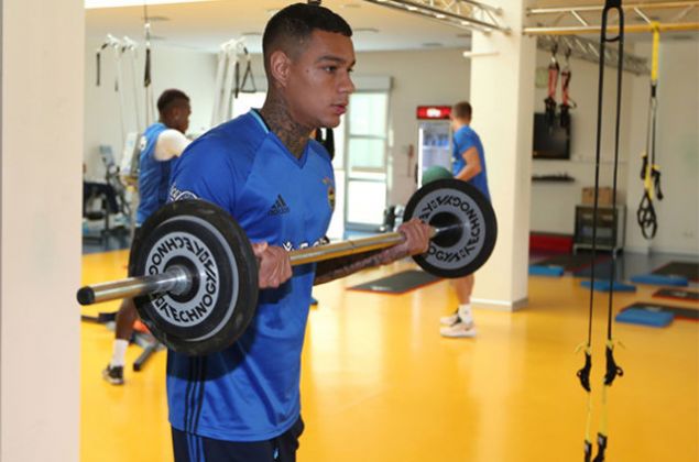 Gregory van der Wiel     