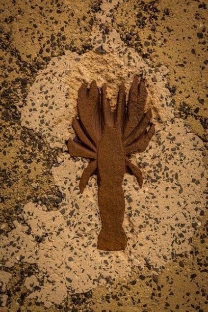 Maarann duvarlarna ilkel resimlere benzer izimler bulunuyor.   