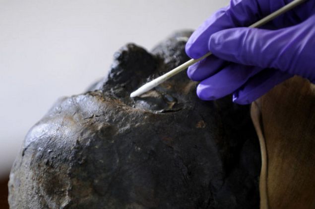 in'de yaplan arkeolojik bir kazda bulunan 300 yllk bir mumya, tabutun kapan aar amaz, oksijenle temas etmesi nedeniyle yaklak 1 saat iinde simsiyah oldu.   