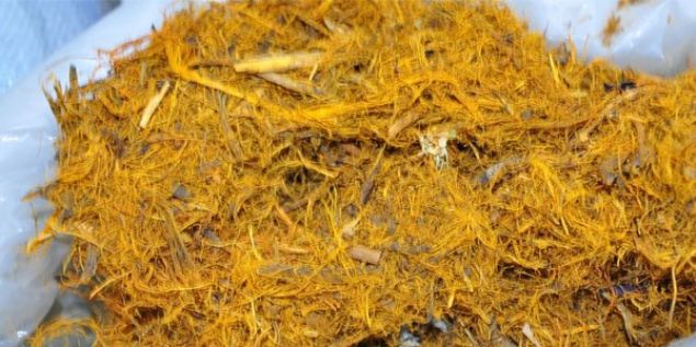                                                                 Meyan kk vcut direncini hzlandrarak baklk sistemini glendirmede ve barsak skntlarn gidermeye yardmc olan bir gda takviyesidir.                                                                               <br><br>                                                               Meyan kk vcut direncini hzlandrarak baklk sistemini glendirmede ve barsak skntlarn gidermeye yardmc olan bir gda takviyesidir.                                                                                                