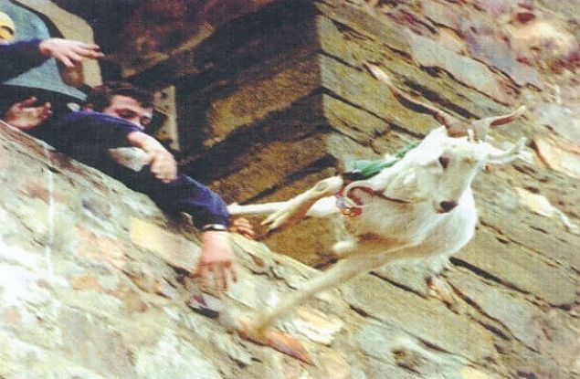 Kei Frlatma<br><br>       spanya'da yaplan bir elence. Keiler yksek bir yerlerden frlatlp insanlar eleniyor. Neyse ki, hayvanseverlerin abalar sonucu artk oyuncak keiler kullanlyor.   