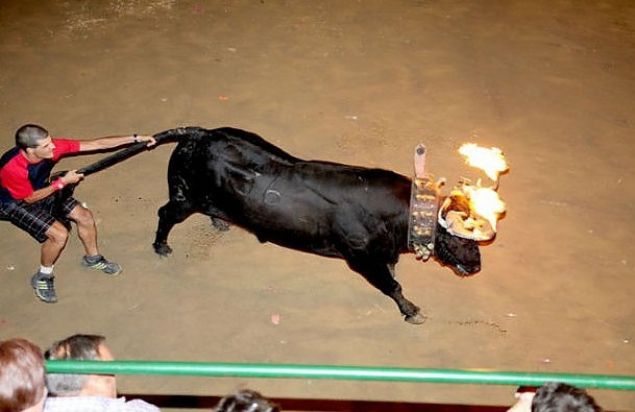 Boa Yakma<br><br>        Boalarn boynuzlar yaklarak halk arasna salnyor. Yapld yer spanya. Boa daha sonra ldrlyor.       