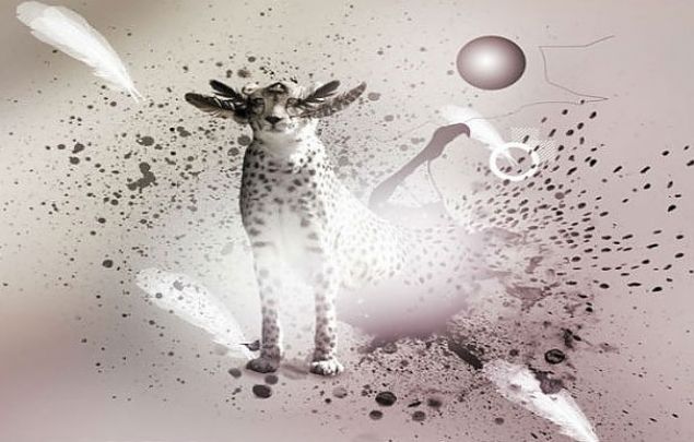 Hayvan Patlatma<br><br>        Yine bilim adna yaplan bir alma.     