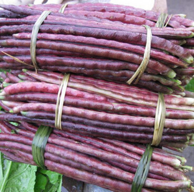 Mor kukonmaz: Kukonmaz lezzetli olmasnn yan sra besin ierii bakmndan da olduka zengindir.      