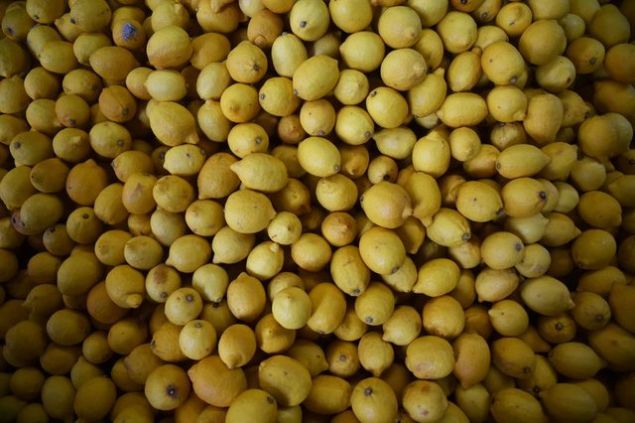 * Rahatlatc etkisi ile vcuttaki arlar hafifletir, atei ve tansiyonu drr.  * Cilteki sivilcelere kar olduka etkilidir.   