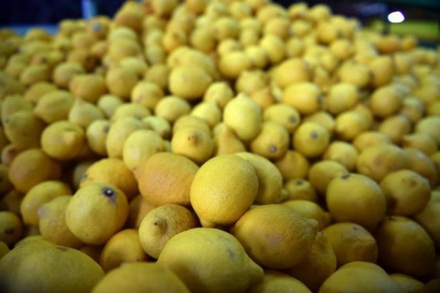 * Limon suyu gargara yapmak iin de kullanlr. Plaklar temizler, dileri beyazlatr ve di minesini glendirir.    