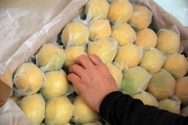 * Mikrop ldrcdr. Besin zehirlenmelerinde ve bcek srklarnda yararldr.  * drar yollarnda grlen enfeksiyonlara kar etkilidir.   