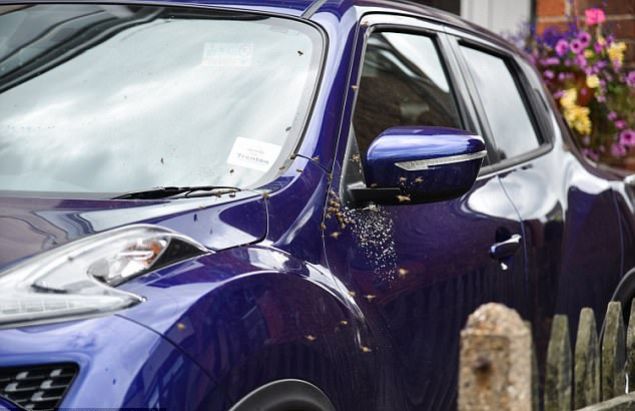 Aracn sahibi Taylor ise aracnn bana gelenleri komusunun sayesinde fark ettiini sylyor:  'Komumdan bir mesaj geldi, eve dndmde arabama dikkat etmemi yazmt.  'Aracn halini grnce hemen eve kotum ve dier komularm gibi kaplar pencereleri kapattm.    