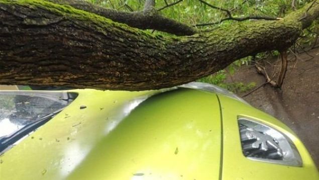 nk aracna doru yaklatnda devrilen aacn aracn kaputuna yalnzca birka santimetre kala durduunu grd. Talihli ofrn aracnda en ufak bir izik bile olmad.     