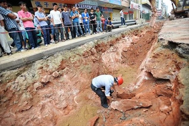 in'in gneyindeki Guangdong eyaletinde bulunan Heyuan kentinde 43 dinozor yumurtas bulundu. Dnyann en fazla dinozor yumurtas fosiline sahip olmas sebebiyle 'Dinozorlarn Evi' olarak da anlan kent, 2004 ylnda Guinness Rekorlar Kitab'na girmiti.     
