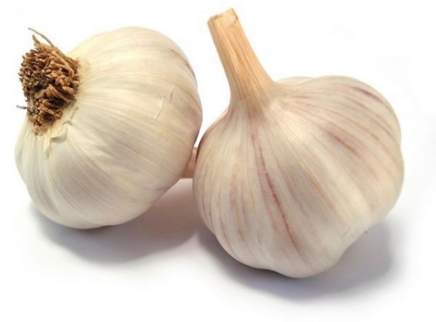 NEZLE  <br><br>  Nezlenin yaygn olduu k aylarnda sarmsak tketerek baklk sisteminizi glendirebilir ve st solunum yolunu etkileyen bulac hastalklara kar vcudun direncini arttrabilirsiniz. Ayrca nezle olduunuzda sarmsak yiyerek ilime srecini hzlandrabilirsiniz.     