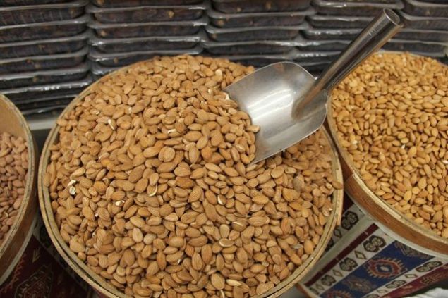 Potasyum ieriinden dolay kan basncn dzenleyen badem kan basncnda oluan ini klarn da engellenmesini salar.    