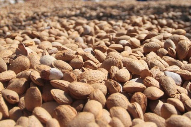 Dengesiz kolesteroln oluturduu hastalklar oluturan kolesteroln dzenlenmesi hastalklara yakalanma olasln olduka azaltr.    