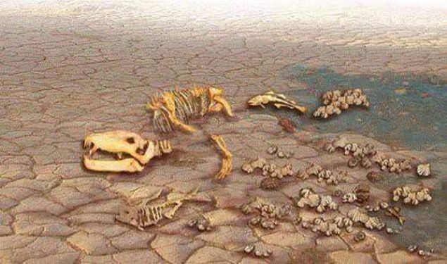 �n�m�zdeki 300 y�l i�erisinde, g�n�m�zde var olan t�rlerin tamam�n�n %75'inin soyu t�kenecektir.     