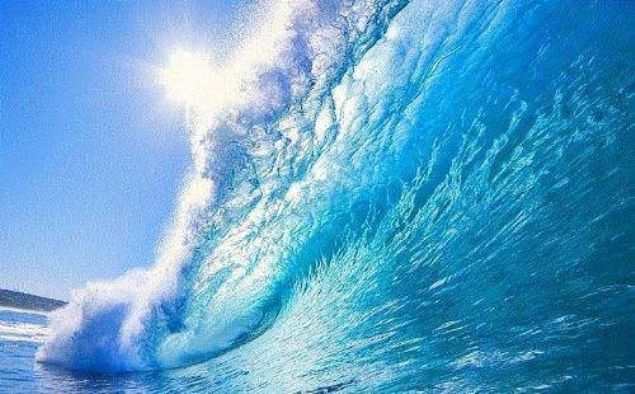 D�nya'daki sular�n %97'si tuzlu, %3'� tatl� sudur.     