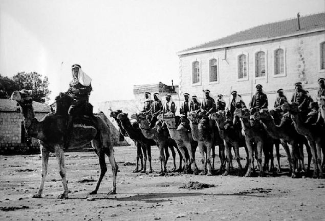 Prof. Dr. Hlag, tarih belgelerinde Abdlhamid'e ait mal varlklarnn detaylar hakknda unlar anlatt:  'Abdlhamid'in Anadolu'da 2 bin 300'den fazla tanmaz kayd mevcut. Bu tanmazlarn 1 milyon 250 bin dekar halen 2. Abdlhamid'in zerinde kaytl bulunuyor. Balkanlar'da 4 bin 280 tanmaz kayd sz konusu. Bu tanmazlarn 220 bin dekar halen 2. Abdlhamid'in zerinde gzkyor.   