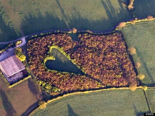 Kalbin alt k��esi, Janet�in do�up b�y�d��� �iftli�i i�aret ediyor. Baharda ise kalbin oldu�u noktada nergisler a��yor.   