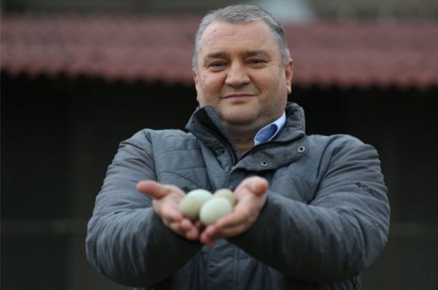 'Fazla talep fiyatlar ykseltti'Bursa'daki iftliinde araucana cinsi tavuk reten mer Faruk Erdnmez ise araucanalarn kk ve byk boy olarak ikiye ayrldn ifade ederek, unlar kaydetti:'Byk boydakiler yani horozlar 2,5 kilogram, diiler ise 1,8 kilogram gelirler. Yllk yumurta saylar 150 adettir.         