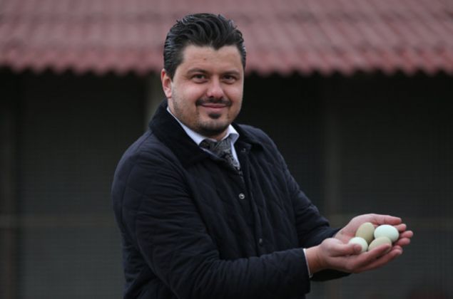 Bursa Ss Tavuklar Bahe Hayvanlar Sevenler Dernei Bakan Yardmcs Hasan Erk, yeil ve mavi renkte yumurtalaryla dikkati eken araucanalarn son dnemde ss tavukuluu yapanlardan youn ilgi grdn syledi.     