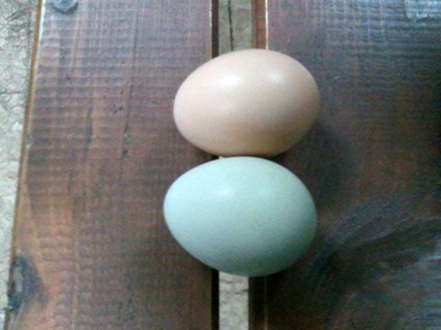 steyen de ok ben de elimden geldii kadar oaltmaya alyorum. nallah da daha ilerleteceim.    