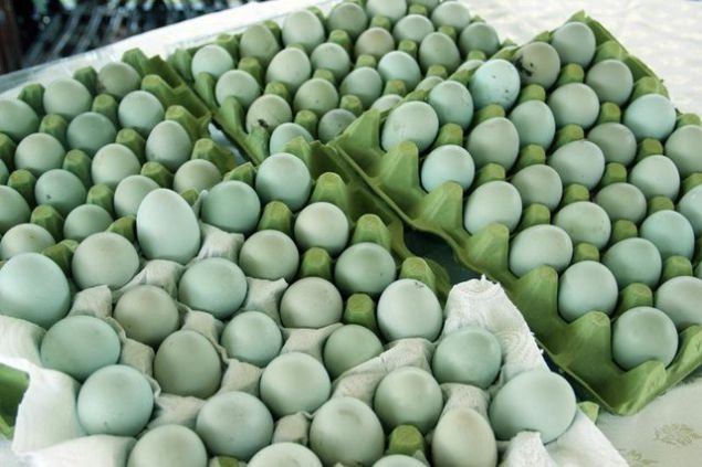 Zamanla ehir dna da sat yapmaya balayan Doan imdi taleplere yetiemiyor.     