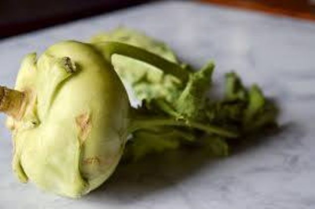 Ancak turp gibi ar kokusu ve tad olmayan bol sulu bir sebzedir.     