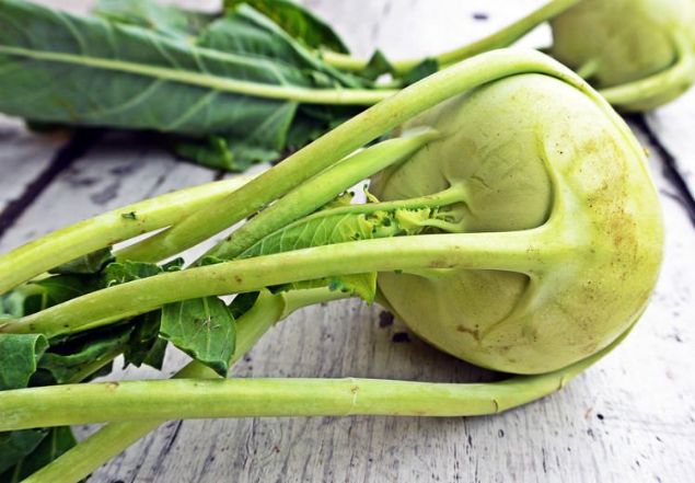 Alaban, hem yapraklar hem yumrusu yeniliyor.     