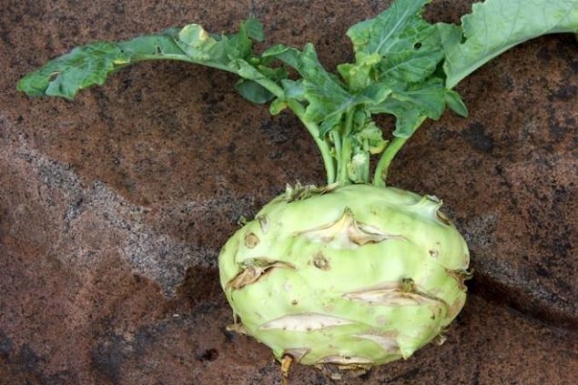 Emziren ve st az olan annelerin stn oaltyor.      