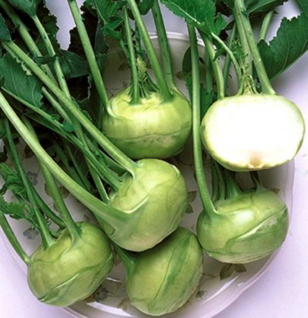 Alaba nasl tketilir?    Yumru eklinde olan Alaban birok yemei yaplyor.      