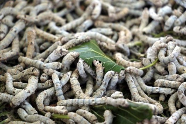 Devletlerimizin imkanlaryla gelene yok demiyoruz. retim yapmak isteyen her bireye limit koymakszn destek veriyoruz. 40 gnde yaklak 15 binin zerinde bir geliri elde edebilecek.    