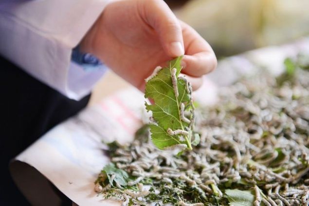 Riski yok, rnm satamam diye bir kaygs yok. Canl bir sektr. Biz de grevimiz gerei mahallelerimizde her bireyimize anlatyoruz. Her geen gn davetimize icabet eden aymz ien vatanda says artyor. Artacana inanyorum.   