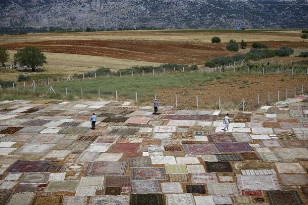 Organik yn ve boya kalyor, yabanc maddeler tamamen yok ediliyor. Tylerini tra edip 10 gn ile 3 yl arasnda gneletilen hallar Amerika, Yunanistan, talya, Avustralya, sve gibi lkelere ihra ediyoruz.'   