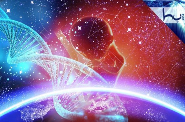 Huzuru bilen ve arzulayan Terazi burlar sava sevmez ve huzuru bozacak eylere kar kar.     