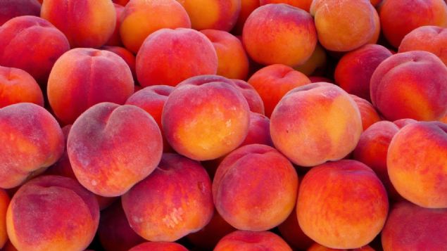 Yzde 89 sv ieren eftali gnlk su ihtiyacnza destek olacak bir yaz meyvesi. Ayn zamanda gnein zararl nlarna kar cilt zerinde koruyucu etkiye sahip...   