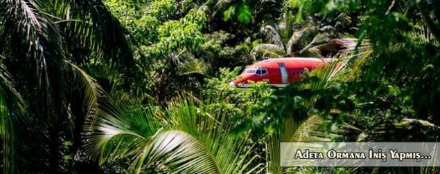 Bu vintage Boeing 727, neredeyse t�m par�alar� s�k�lerek, 5 kocaman t�r vas�tas�yla, San Jos�den yakla��k 2 saat mesafede olan �u anki dinlenme mekan� Costa Verde Oteli�ne getirilmi�.   