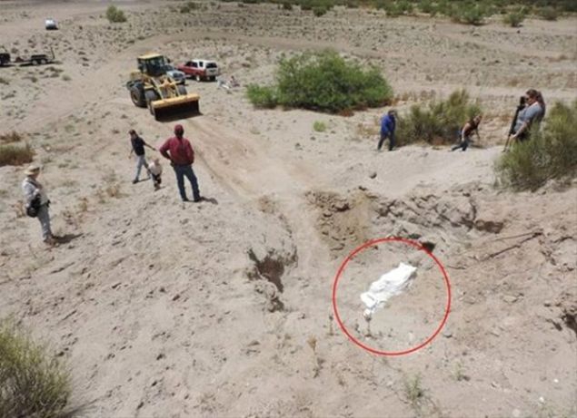 Houde, bugnk fillerin akrabas olan stemastodon'larn insanlar tarafndan avlanarak soylarnn tkendiini ve dnyada birka milyon yl nce yaadn aklad.   