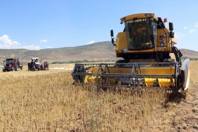 4 y�ld�r Bing�l�de �ift�ilik yapan ve tarlas�na kinoa eken G�ven, �Ge�en y�l burada arpa ektik. Arpadan kazanc�m�z giderlerin d���nda 3 bin 500 lirayd�, bug�n Kinoa bitkisinden 350-400 bin lira civar�nda kazanmay� bekliyorum� dedi. 