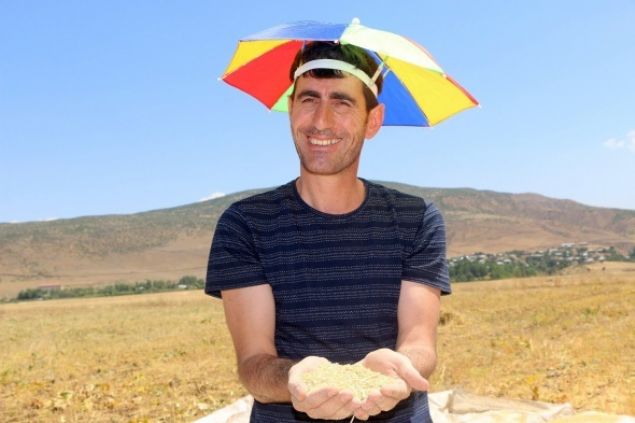 ABD Ulusal Havac�l�k ve Uzay Dairesi (NASA) taraf�ndan astronotlar�n beslenmesinde kullan�lan kinoa bitkisi, Bing�l�de ilk kez merkez G�zeler k�y�nde ikamet eden F�rat G�ven taraf�ndan ekildi. 