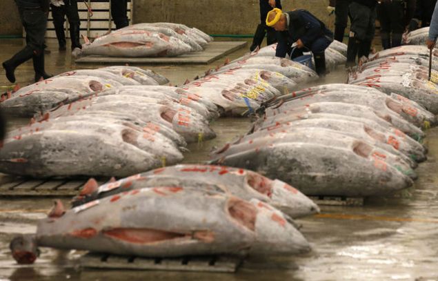 Dondurulmu� bal�k ve deniz �r�nleri<br><br>  Zararl� i�erik: Tert-b�tilhidrokinon   