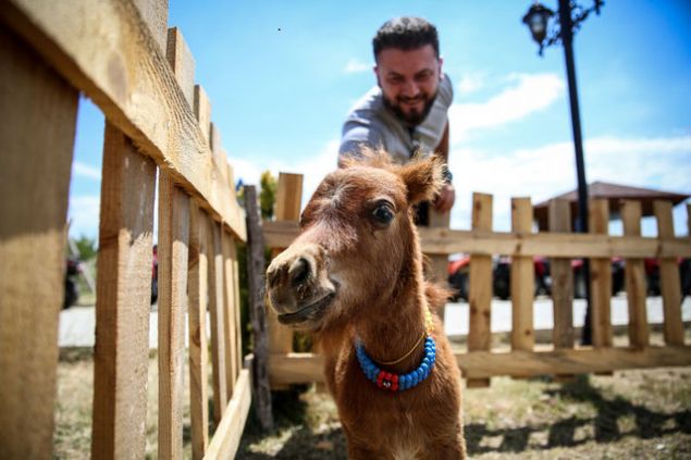 'ARAP M�SAF�RLER�M�Z�N SAYISI �OK FAZLA' <br><br>  Do�ru, bir kar�� toprak sat�n almadan ba�lad��� projeyi kendi topra��na in�a etti�ini belirterek, �unlar� dile getirdi:    