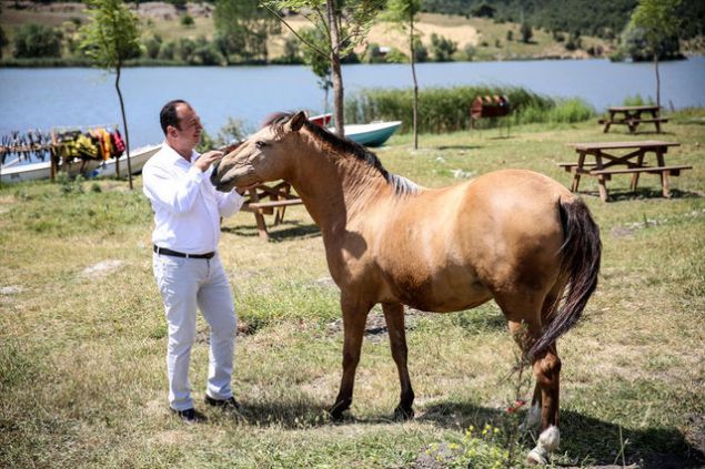 Yakla��k 2 y�ll�k bir �al��man�n ard�ndan projeyi tamamlayan Do�ru, gelen vatanda�lar�n bungalov tipi evlerde konaklayabilece�i ve alakart restoran-kafeteryalarda yemek yiyebilece�i, g�lette bal�k tutma, kano, dev a�a�lar�n aras�nda at binme, ATV safari, ok�uluk, hobi bah�elerinde toprakla u�ra�ma ve benzeri bir�ok aktivitenin yap�labilece�i bir ya�am alan� olu�turdu.    