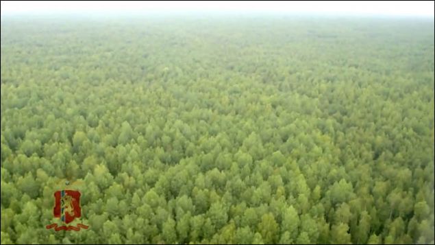 Rusyann Krasnoyarsk blgesinde 14 yandaki Yana Tomaeva, sk bir ormanda annesi ve ablalaryla yemi toplarken kayboldu. Akam saatlerinde Yanann eve dnmemesinin ardndan aile harekete geti.  