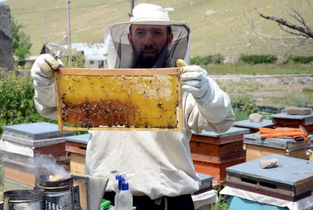 Erta�, y�rede k���n ya�anan so�uk havan�n yaz�n da s�cak havan�n ar� �reticilerini zor durumda b�rakt���n� ifade ederek, s�zlerini ��yle s�rd�rd�:   