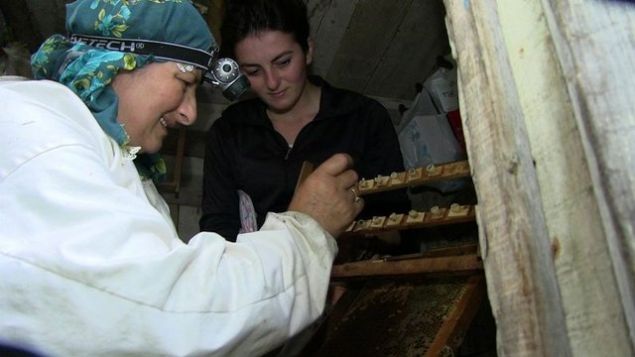 �niversiteyi bitirince annesi gibi ar�c�l�k yapmaya karar verdi�ini belirten 27 ya��ndaki Filiz G�lbin ise �unlar� s�yledi:   