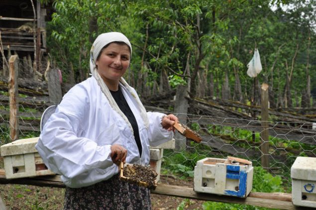 'KRAL��E'Y� B�YLE YET��T�R�YORLAR <br><br>  �te yandan, TEMA Vakf� �nc�l���nde Kafkas Irk� Ana Ar� �retimi Projesi'ne 2000 y�l�nda ba�vurdu�u kursu ba�ar�yla tamamlayarak 2001'den itibaren ana ar� yeti�tiricili�i yapt���n� anlatan 48 ya��ndaki Melahat G�lbin, 'Daha �nce hayvanc�l�k yap�yordum.E�im mevsimlik i��i, gelirimiz �ok fazla olmuyordu. Ar�c�l�kla u�ra�t���mdan beri kazanc�m artt�' ifadelerini kulland�.   