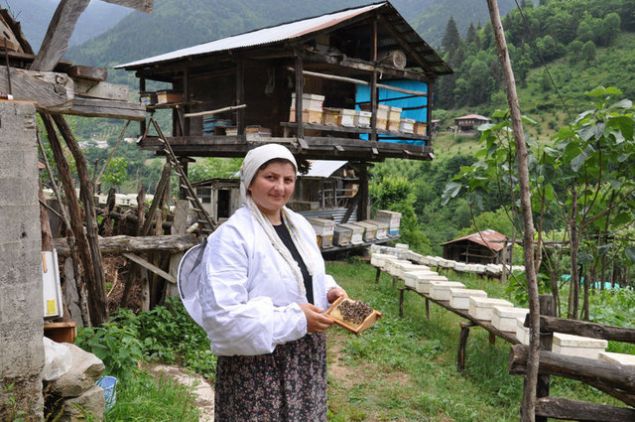 T�rkiye'nin bir�ok b�lgesine, �evre k�ylere ana ar� g�nderiyoruz. Saf Kafkas ar�s� sadece bu b�lgede var. �ok de�erli ar�lar, �retilen bal, di�er ar�lar�n neredeyse iki kat� daha verimli ve kaliteli' �eklinde konu�tu.   