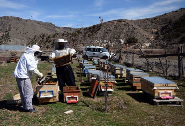 Yatay kovanlarda ar�lar�n yorulmadan bal �retimi yapt���na dikkati �eken K���k, s�zlerini ��yle s�rd�rd�:   