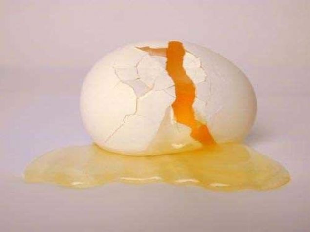 Yumurta kabuunun yaklak %90-95' i kalsiyum olup besinlerle alnan kalsiyuma gre vcutta sindirimi ve emilimi ok daha fazladr.     